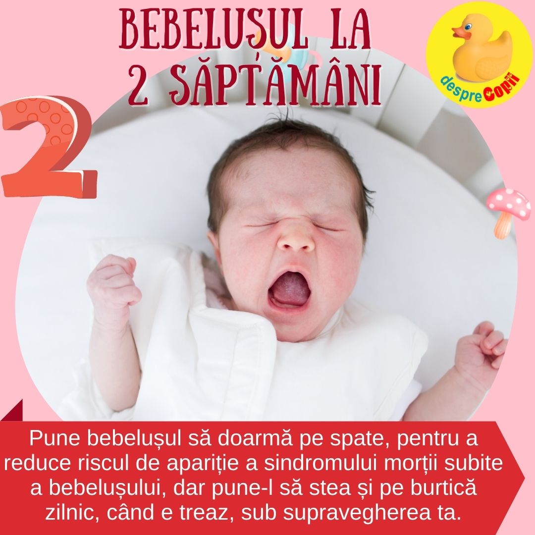 bebelusul 2 saptamani