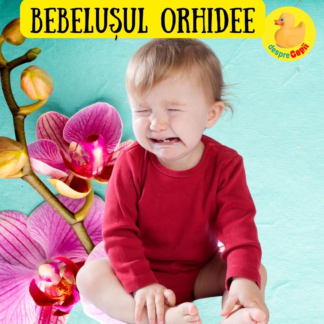 copilul orhidee