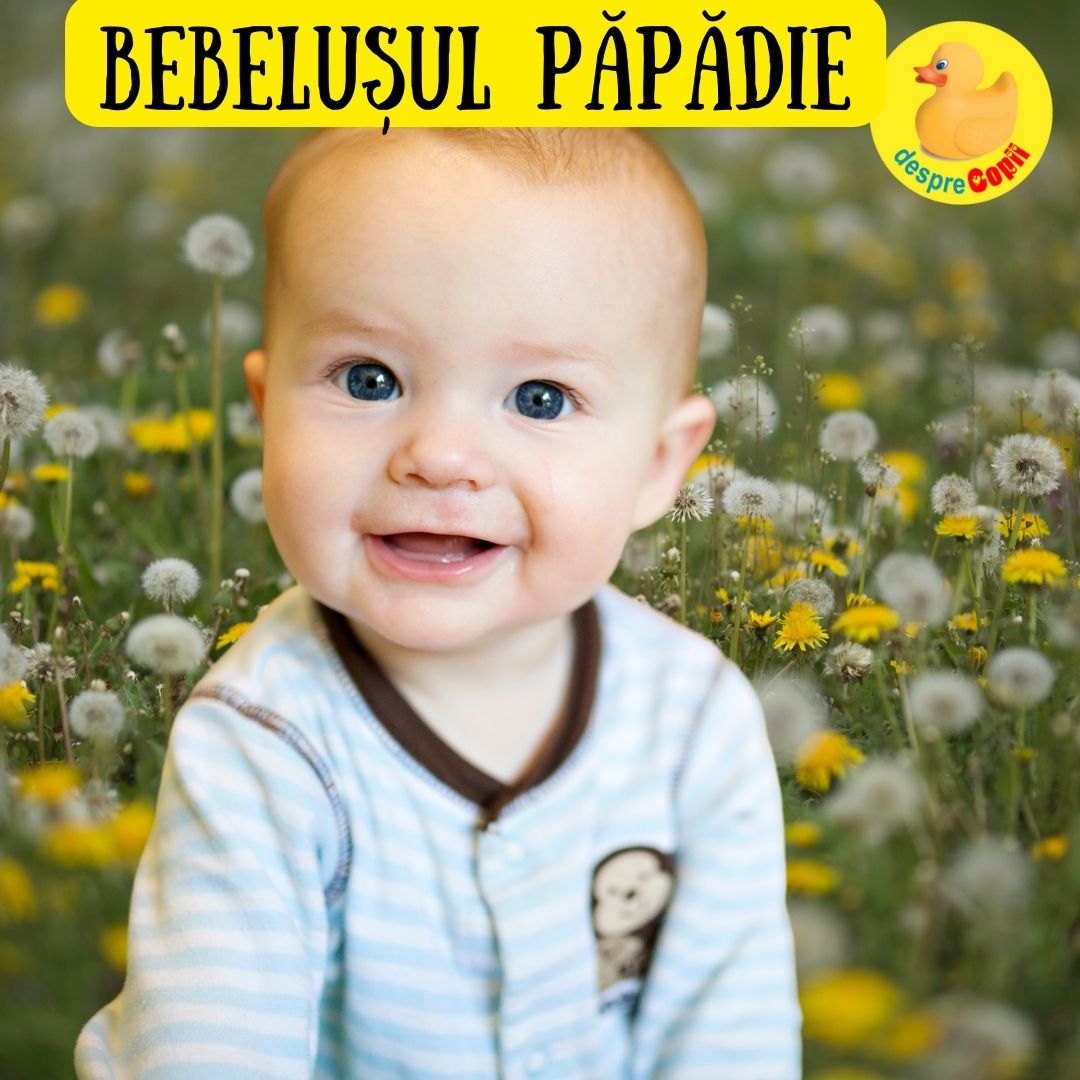 bebelusul papadie