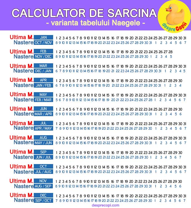 Scobutil in sarcina