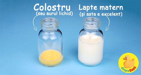 colostru lapte matern