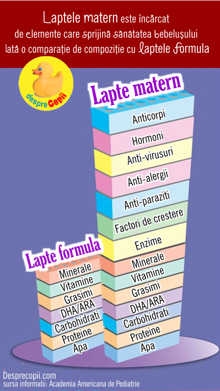 lapte matern infografic