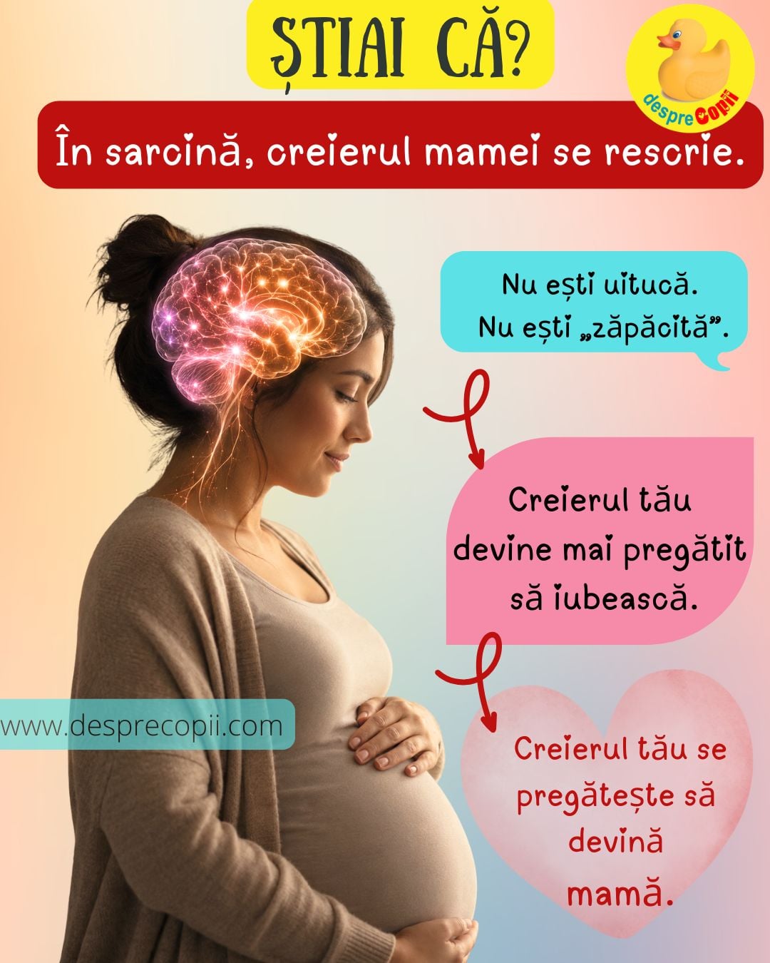creier sarcina