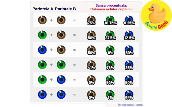 Ce Culoare Vor Avea Ochii Bebelușului Calculatorul Acesta Iți