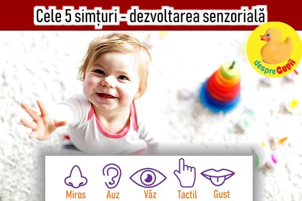 dezvoltare senzoriala bebelus