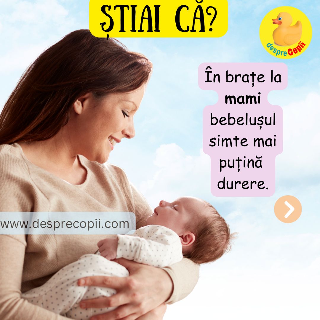 In brate la mami 