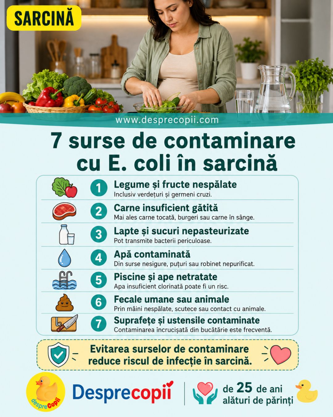 e coli sarcina 1