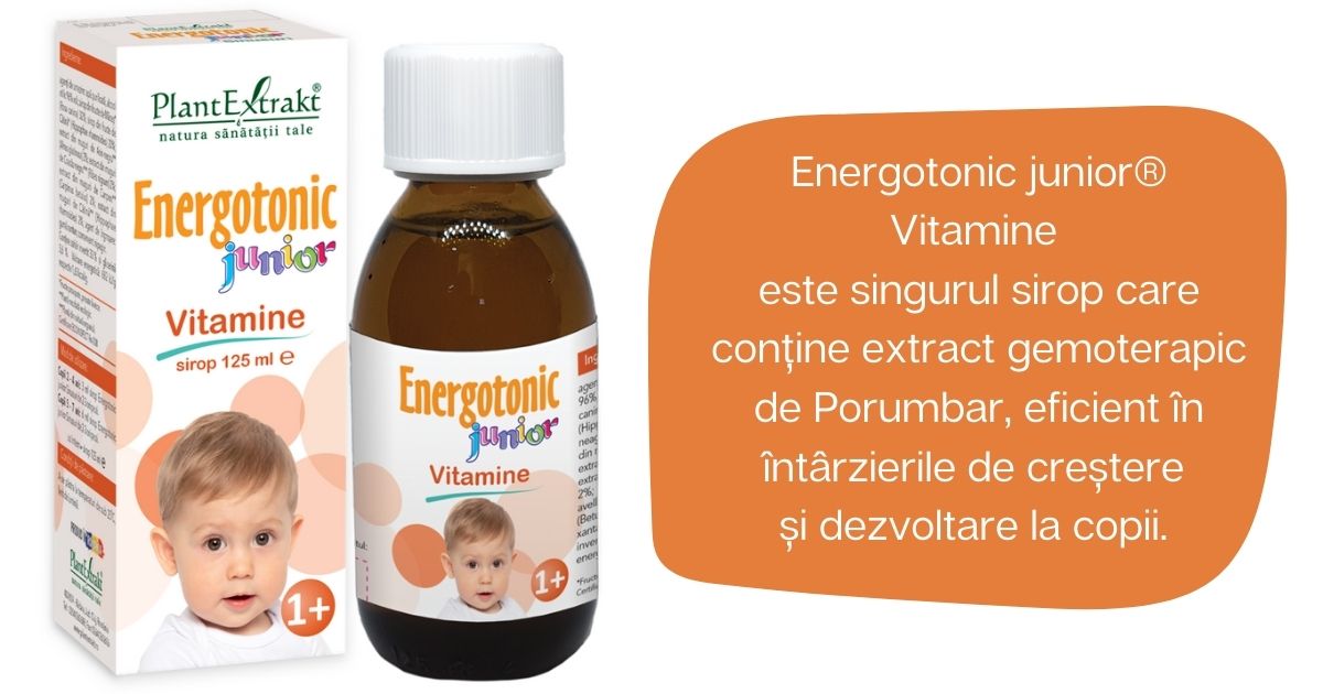 ergotonic vitamine
