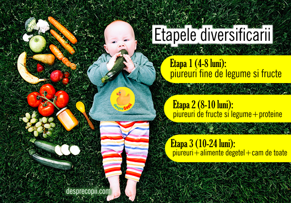 etape diversificare bebelus