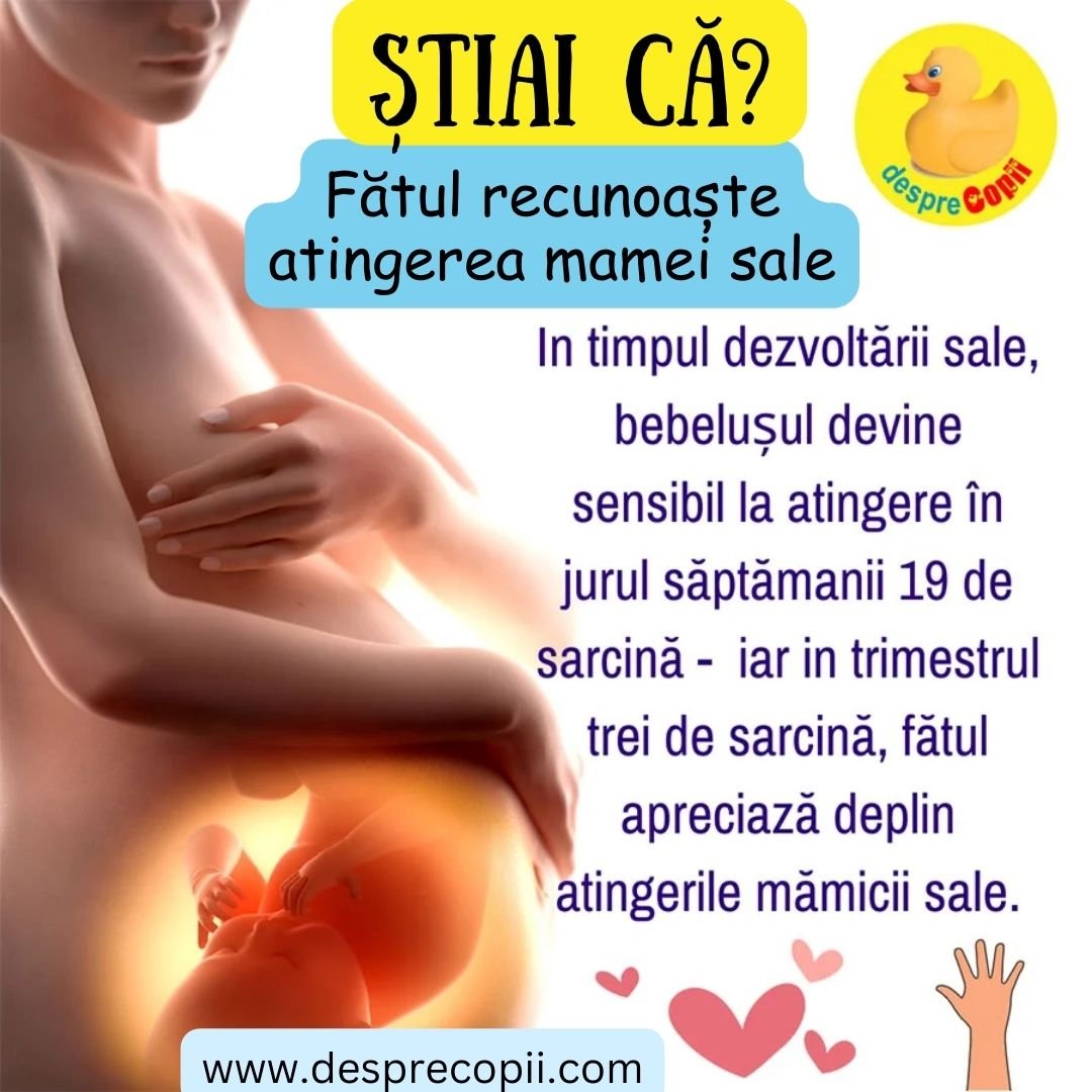 sensibilitate atingere fat sarcina