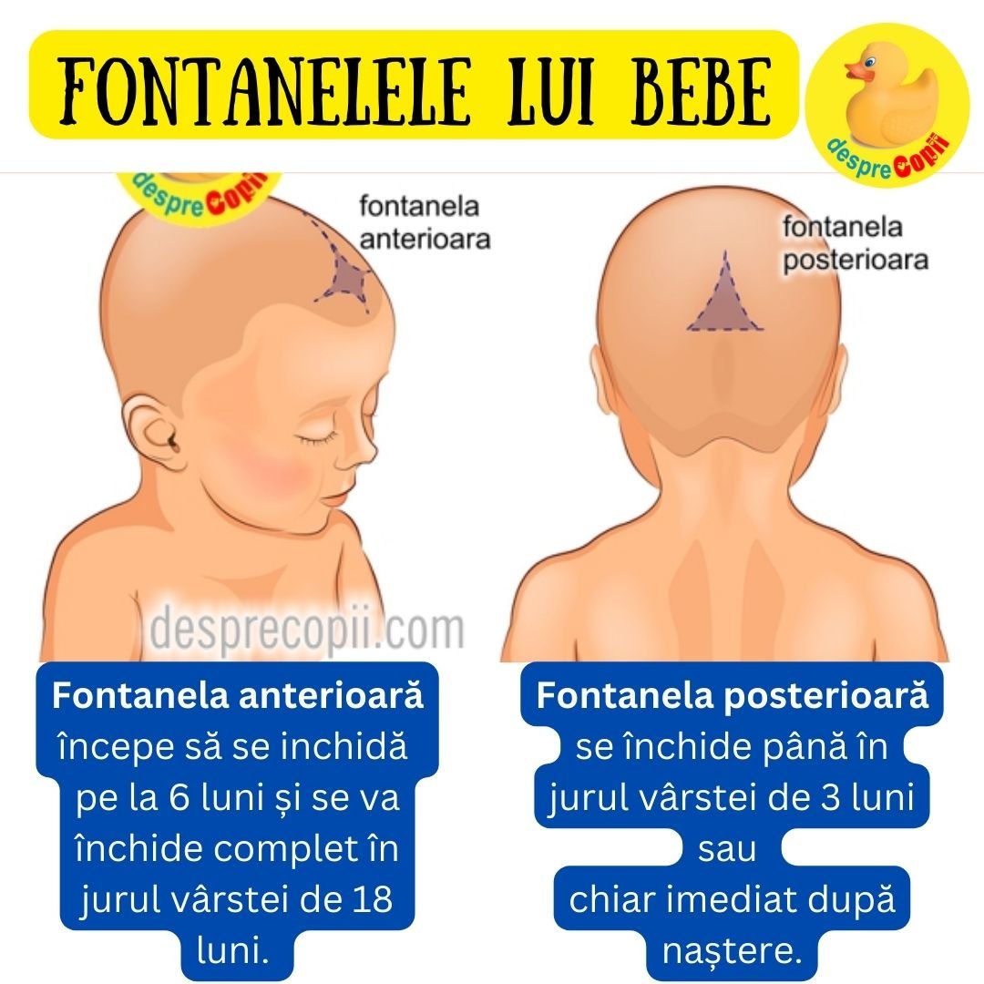 fontanelele bebelusului