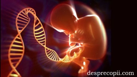 testare genetica sarcina