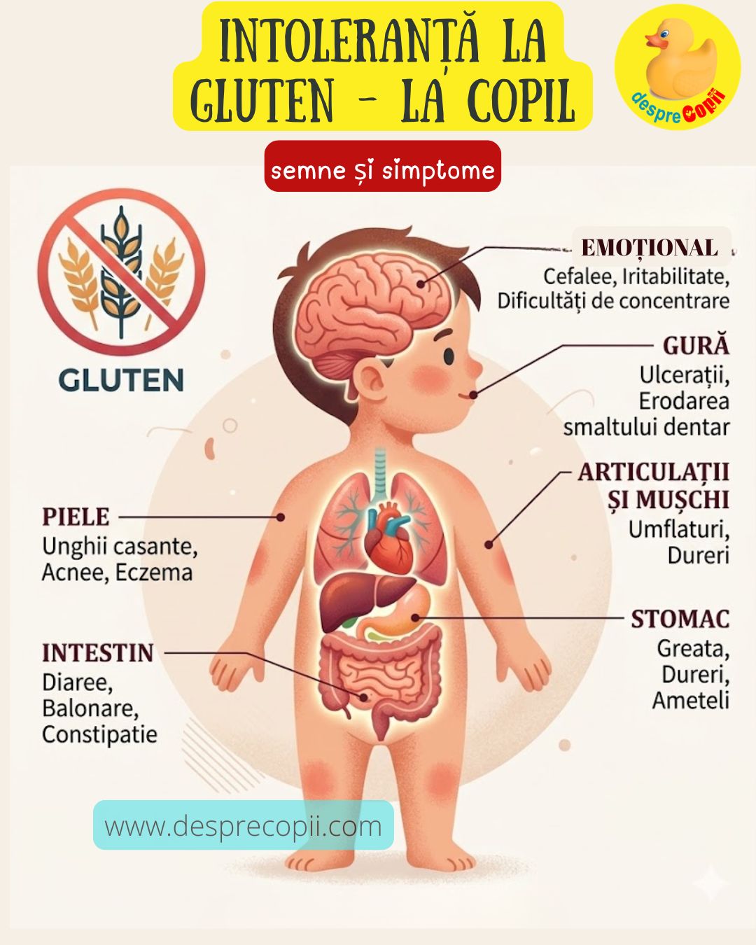 intolertanta gluten copii