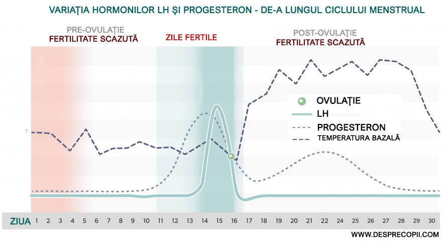 hormoni ovulatie