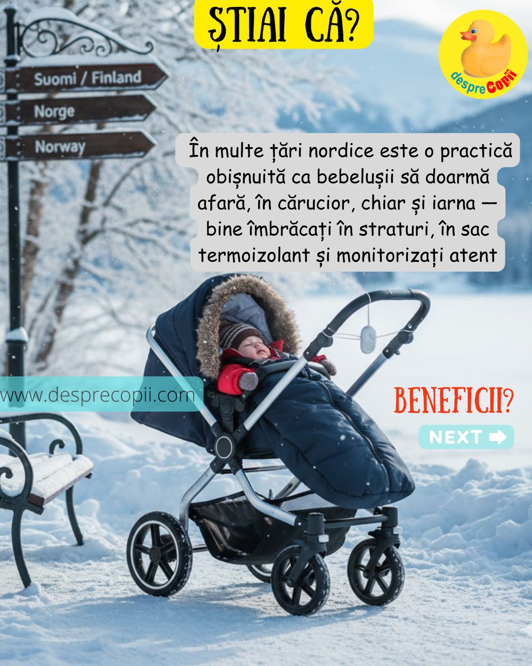 bebelusi iarna