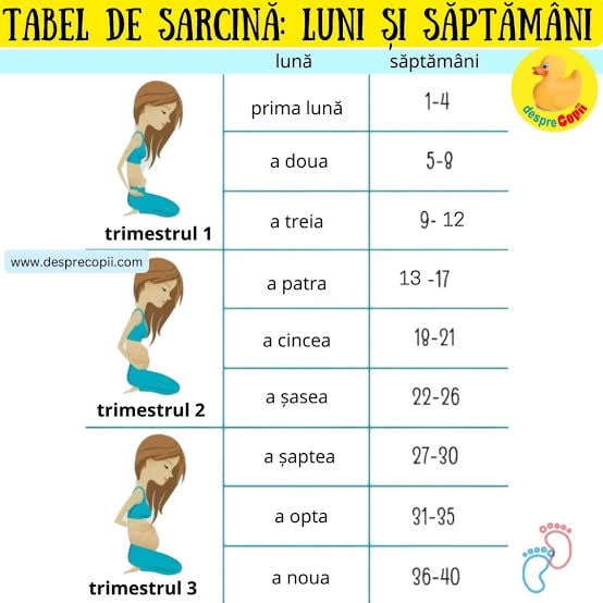 tabel de sarcina saptamani luni