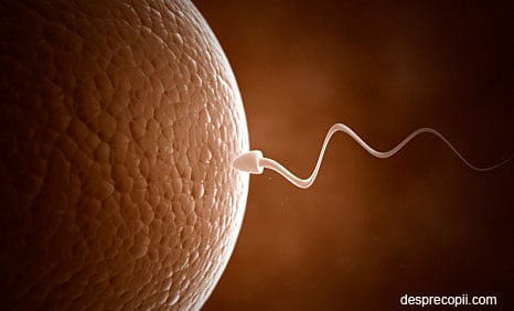 /Images/infertilitate-barbat-sperma.jpg