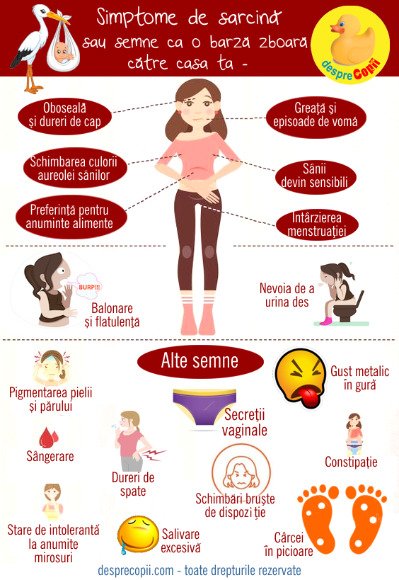 simptome sarcina infografic