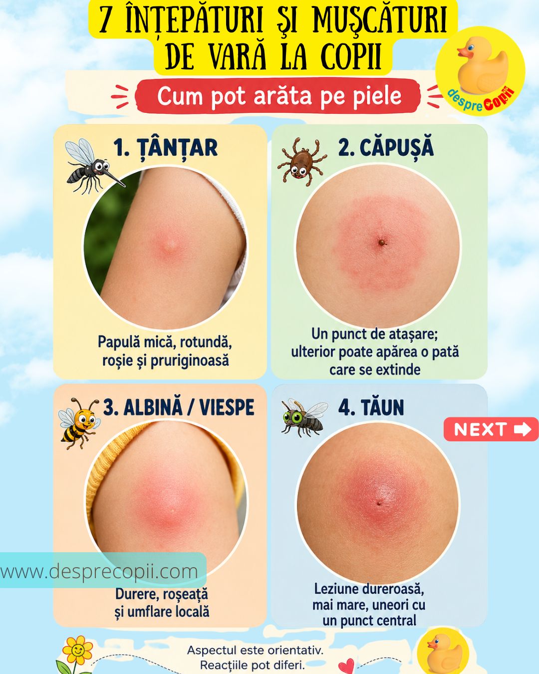 intepaturi insecte copii 1