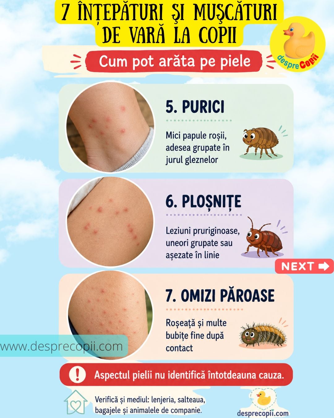 intepaturi insecte 2