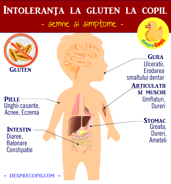 Simptomele Intolerantei La Gluten La Copil Desprecopii Com