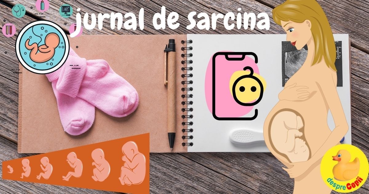 Jurnal de sarcina