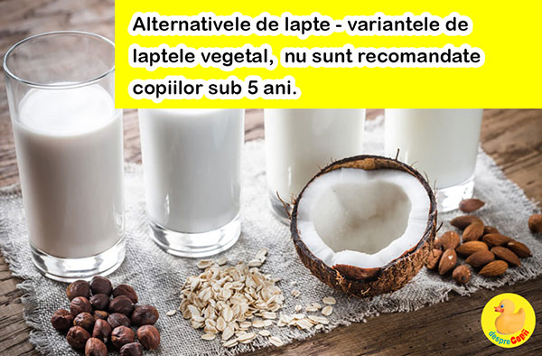 lapte vegetal copii