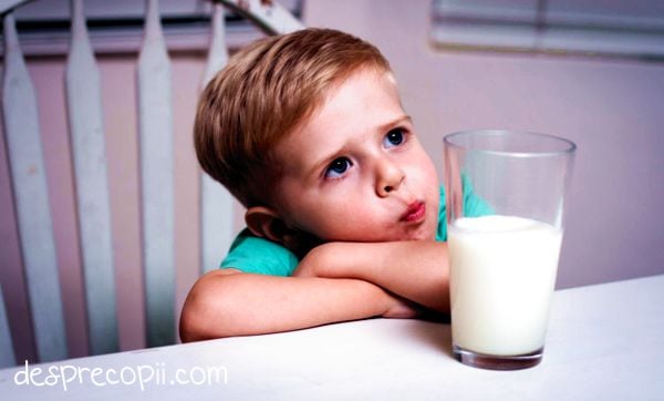lapte alimentatie copil