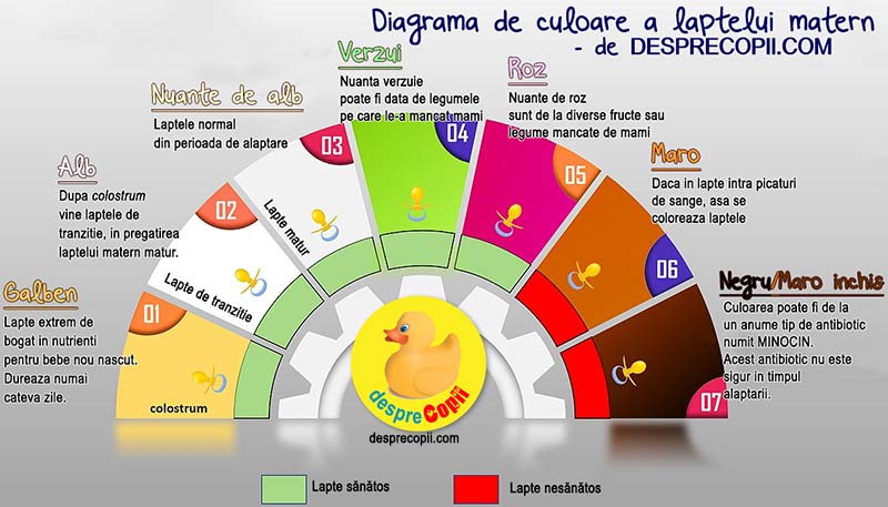 Lapte matern diagrama