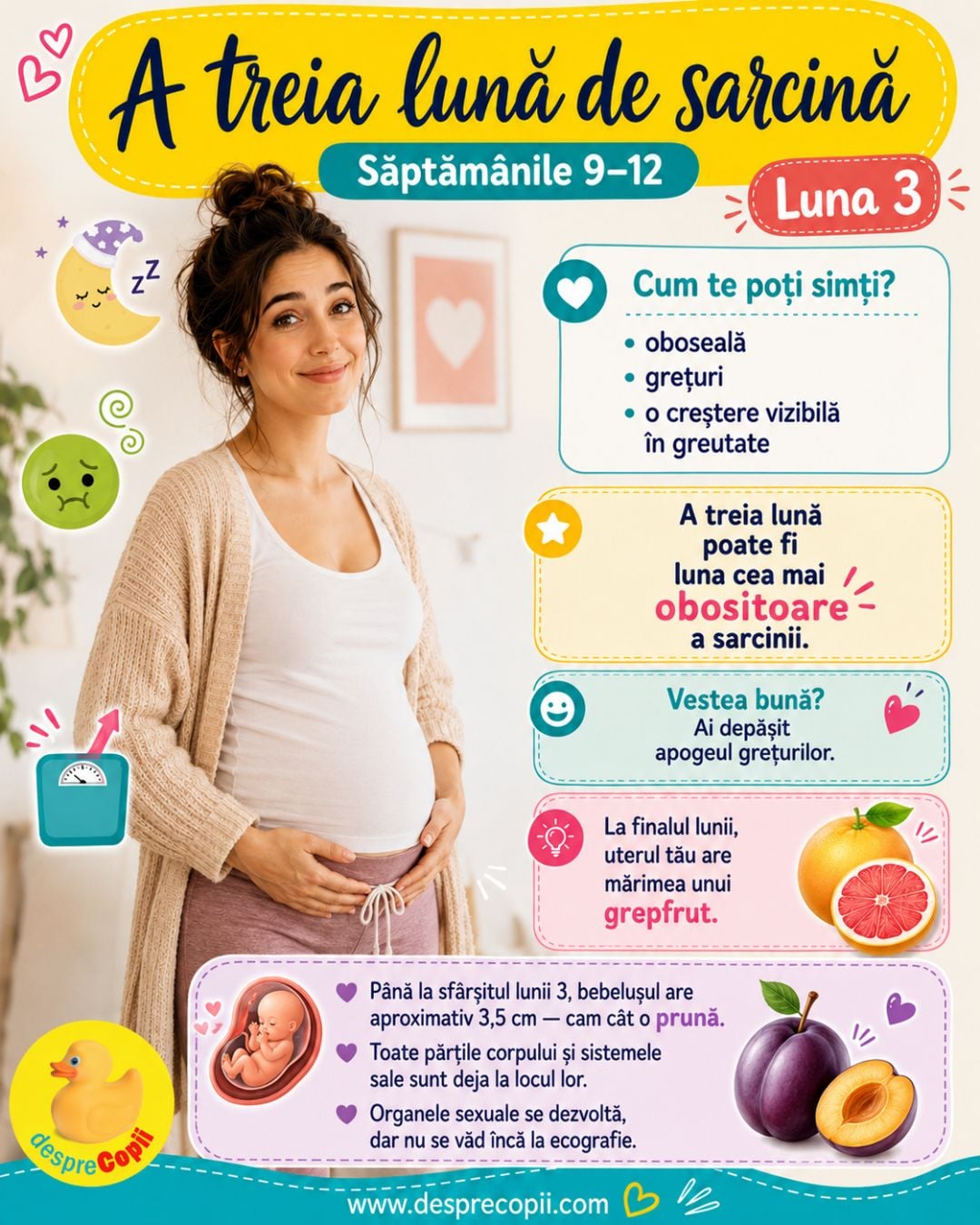 luna 3 sarcina