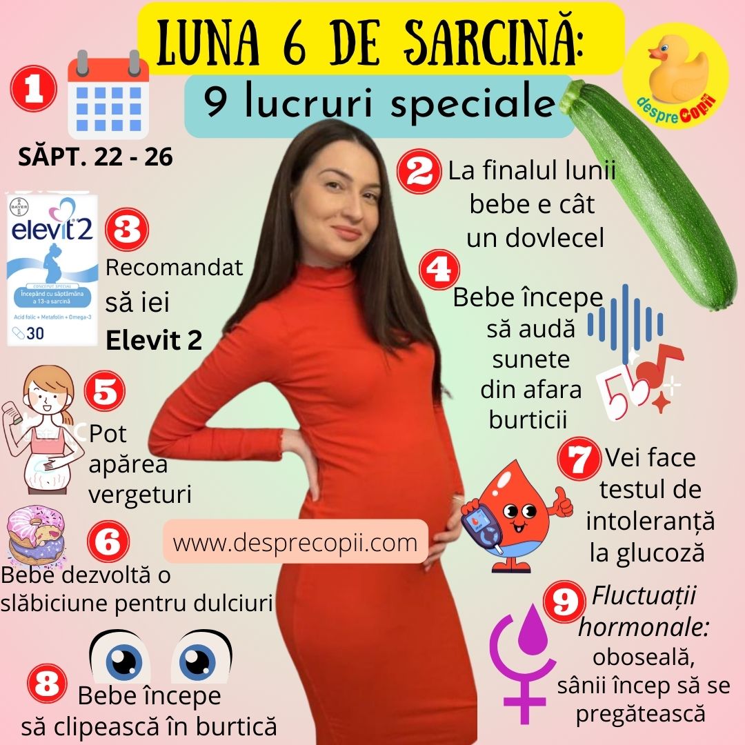 luna 6 de sarcina