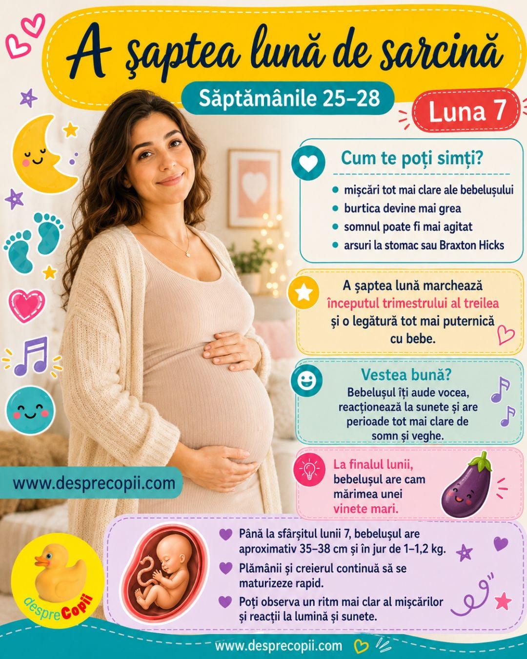 luna 7 de sarcina
