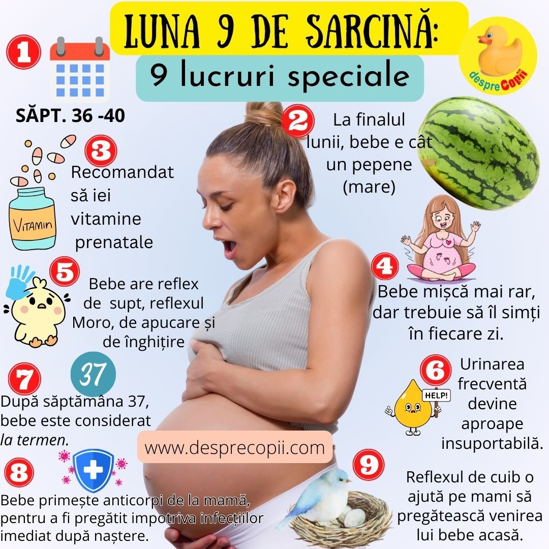 luna 9 de sarcina
