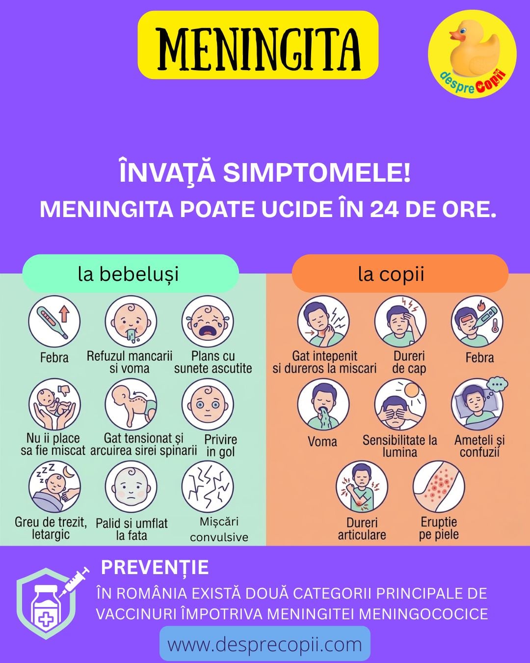 simptome meningita copil