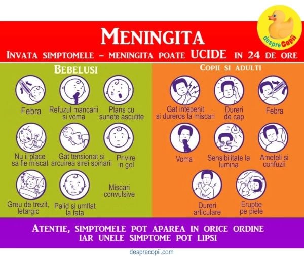 simptome meningita copil