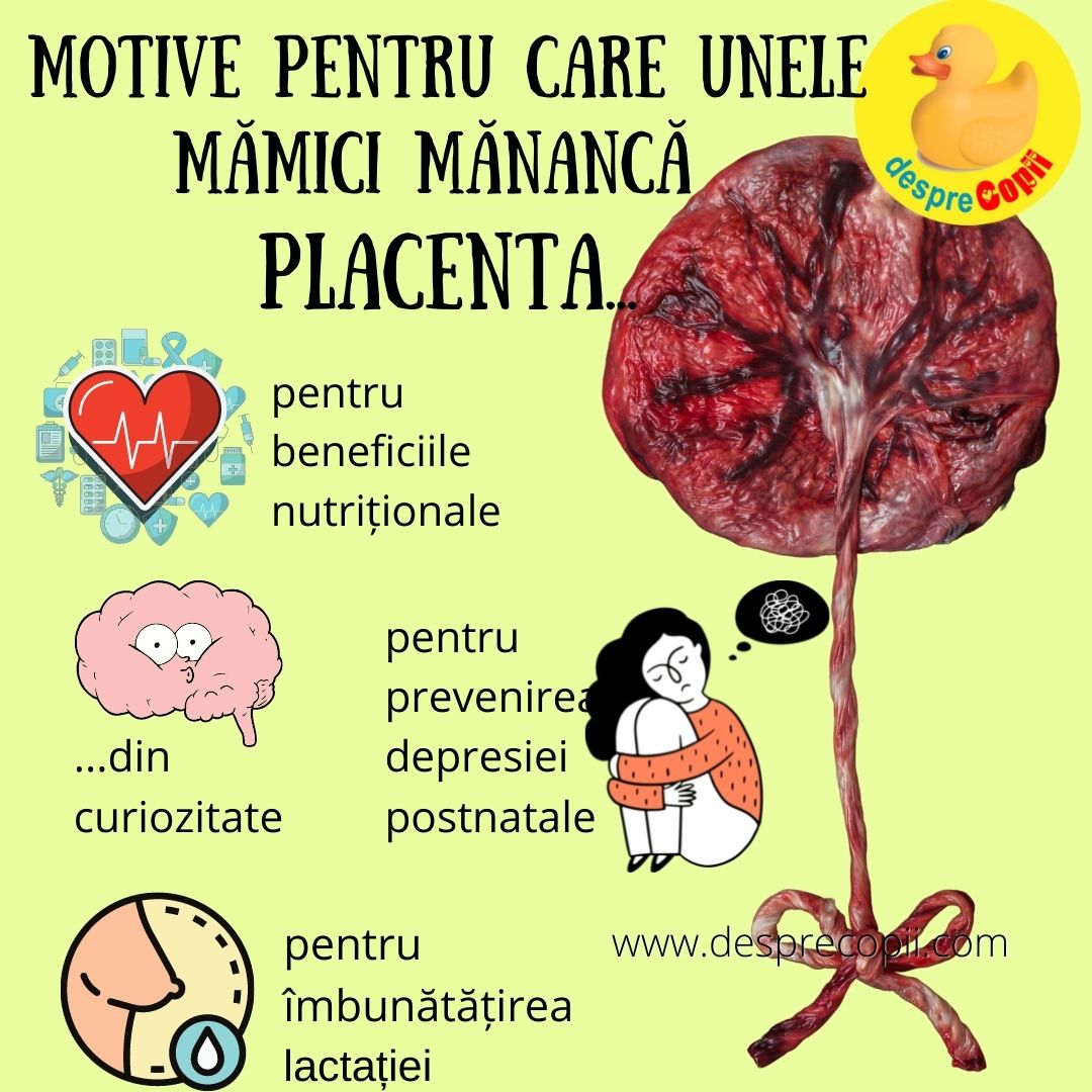 placenta