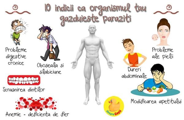 Infectii cu transmitere sexuala (ITS) | labrad.ro, Dureri articulare și musculare și paraziți