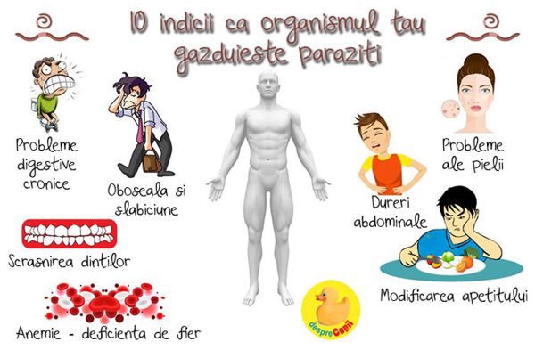 paraziți musculare dureri articulare)