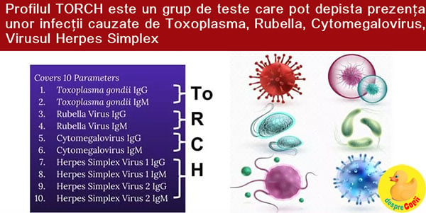 testul torch sarcina