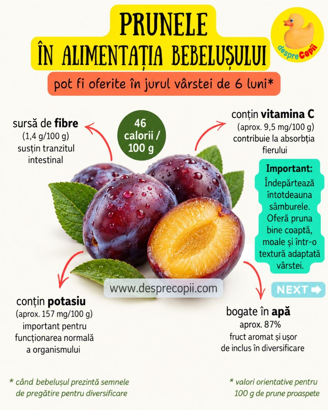 prune diversificare bebelusi 