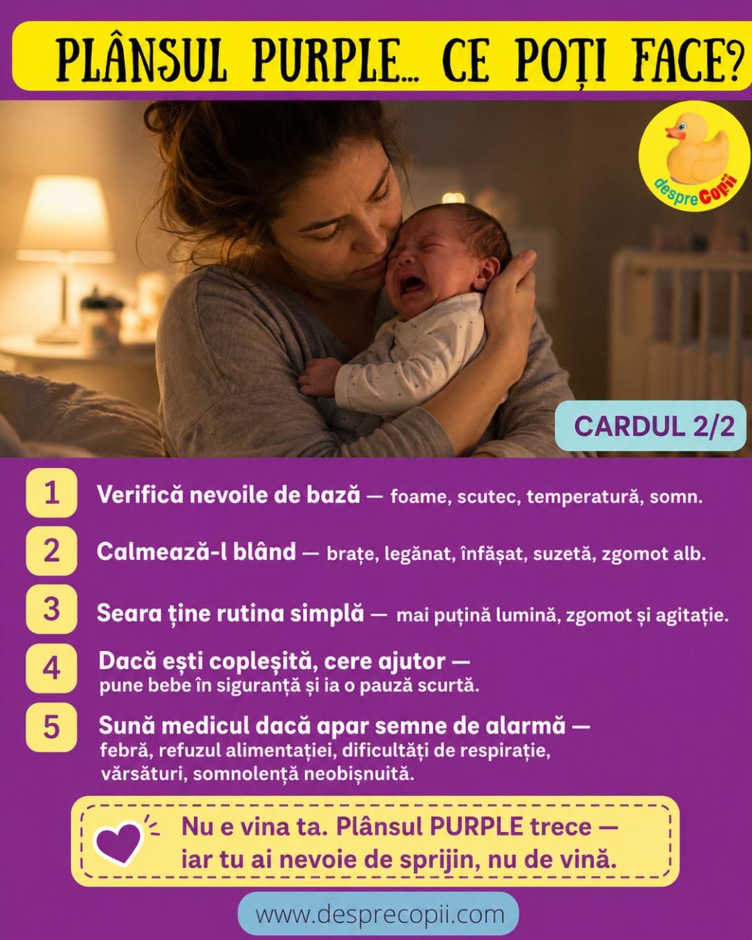 plansul purple 2