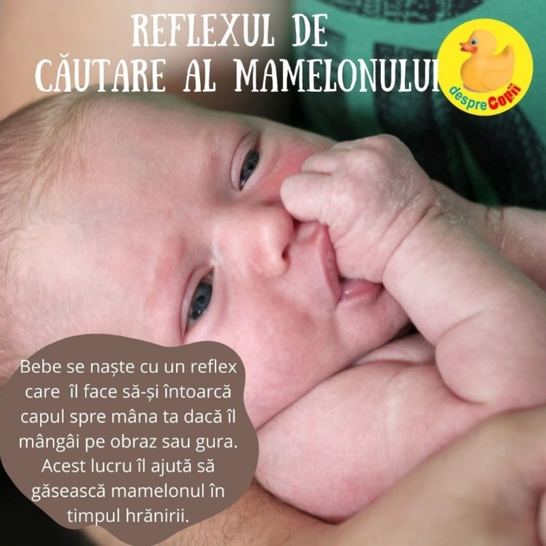reflex rooting cautare mamelon nou nascut