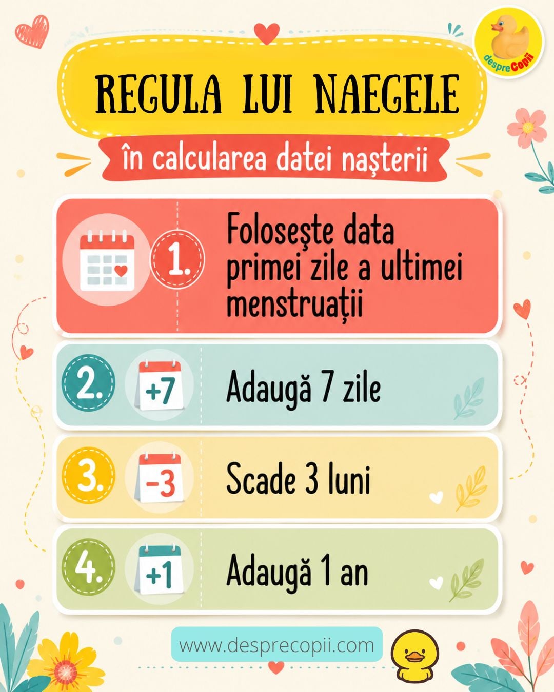 regula lui naegele