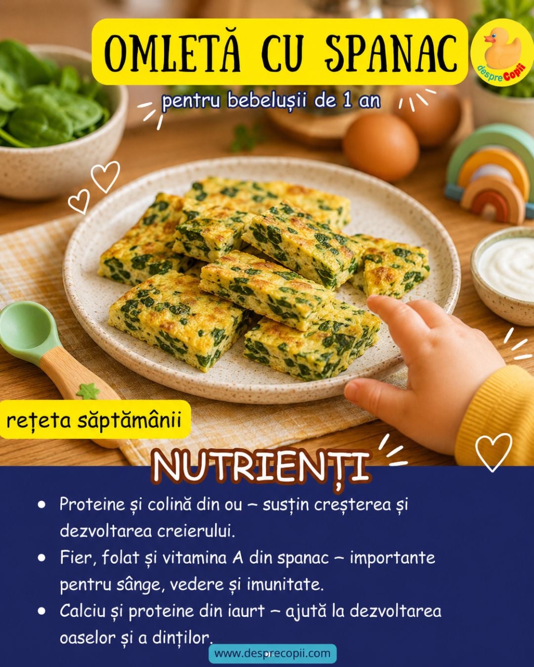 retete bebelusi 2