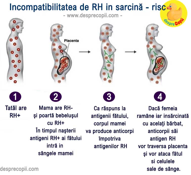 rh sarcina incompatibilitate