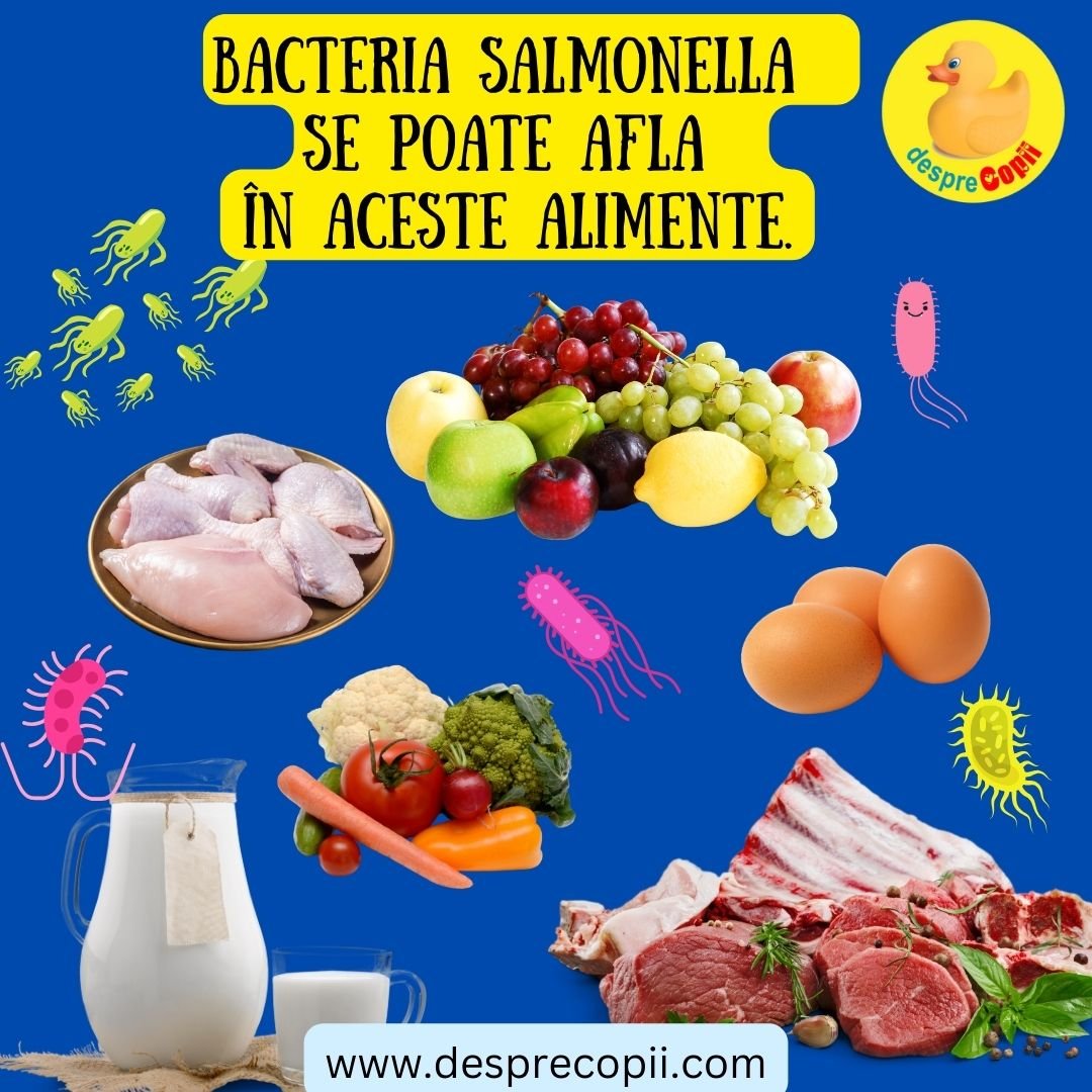 salmonella in alimente