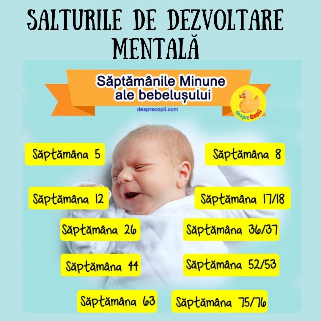 saptamanile minune bebelus infografic