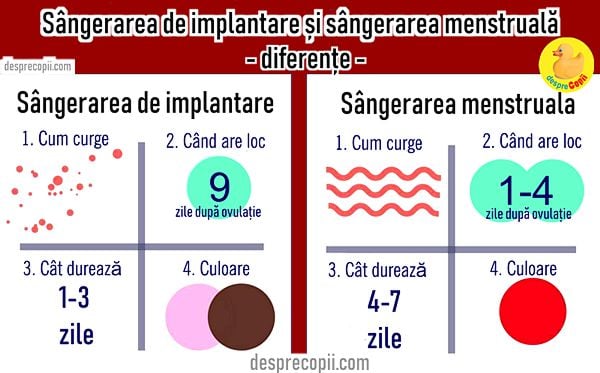 Recomandat mineral Neesențial  Sangerarea de implantare: poate fi primul simptom al sarcinii |  Desprecopii.com