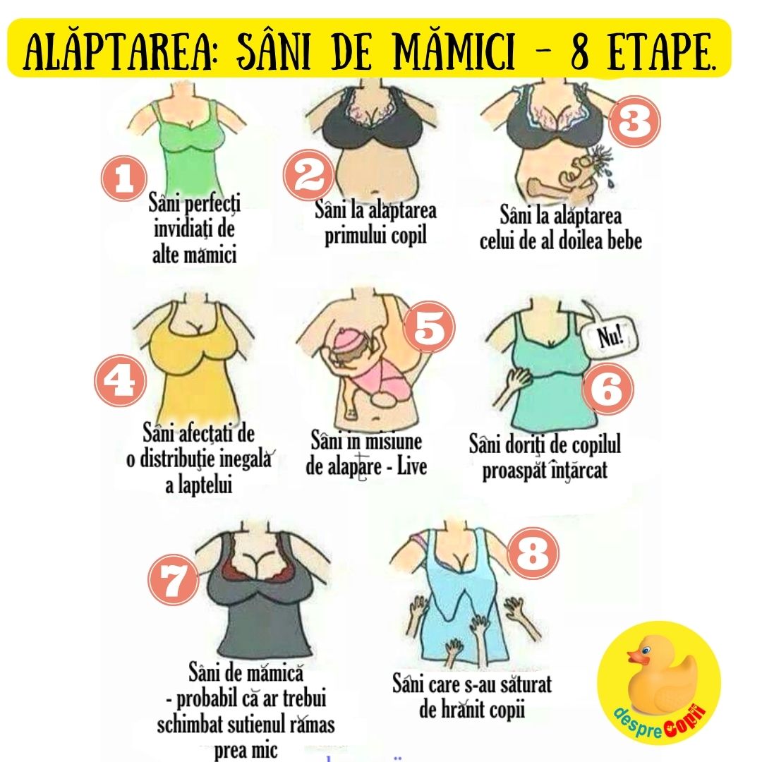 sani de mamici care alapteaza