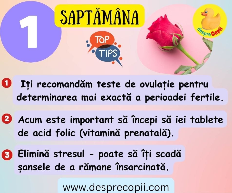 saptamana 1 de sarcina sfaturi